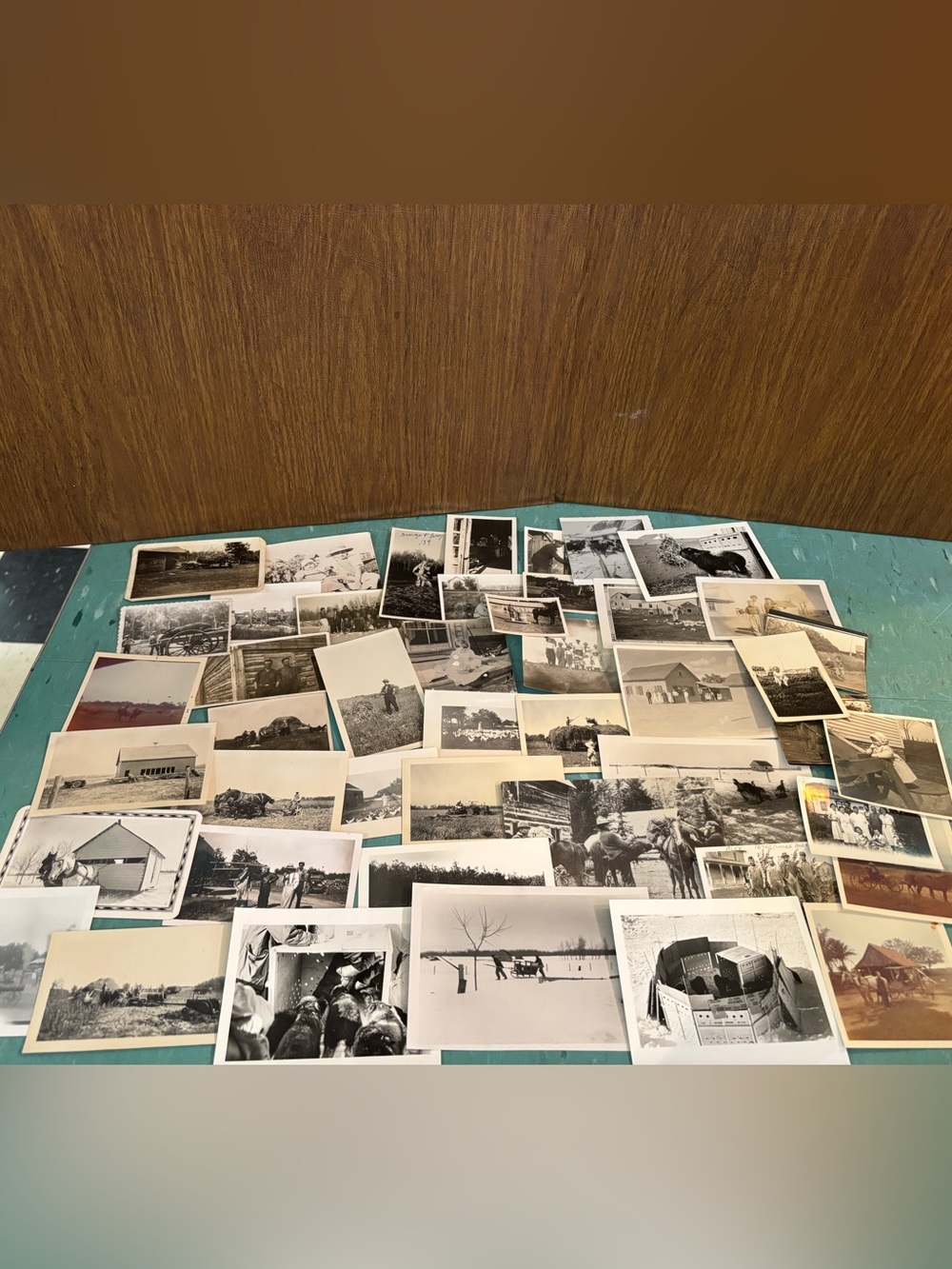 46 black white vintage farm photos animals farmers 1920’s - 1940’s ephemera - Picture 5 of 13
